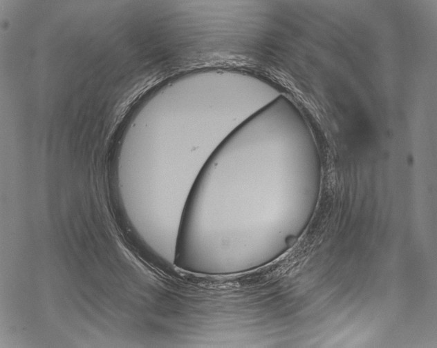 X0000068840683200605050944