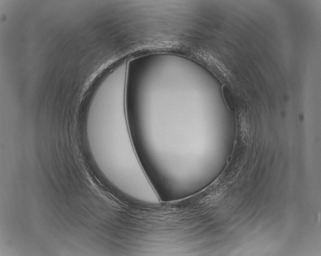 X0000068840684200605050944