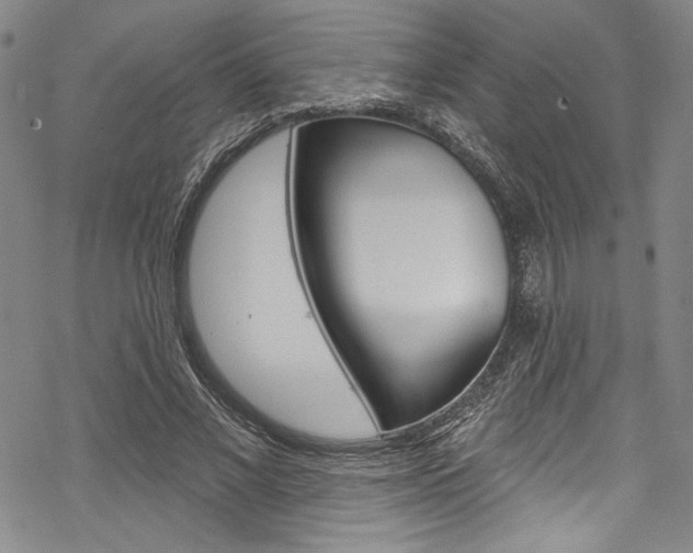 X0000068840685200605050944