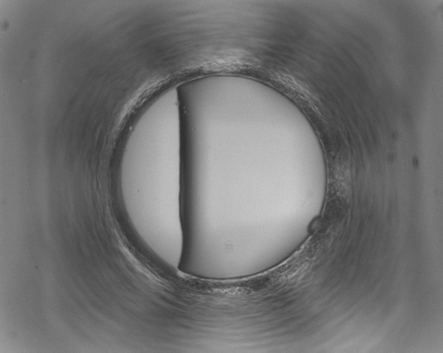 X0000068840686200605050944