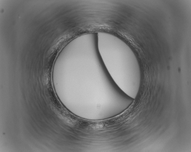 X0000068840687200605050944