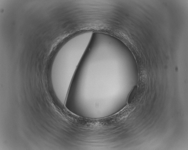 X0000068840688200605050944