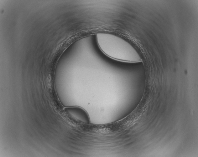 X0000068840689200605050944