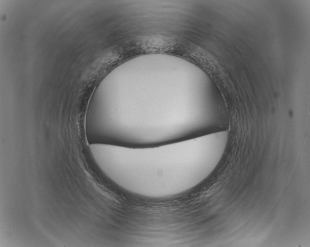 X0000068840690200605050944