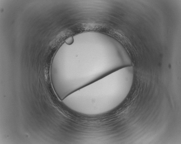 X0000068840691200605050944