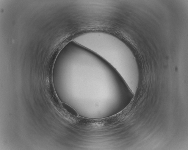 X0000068840692200605050944