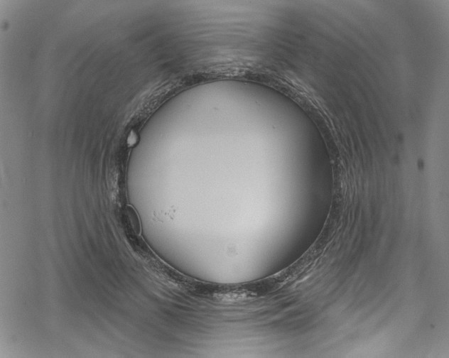 X0000068840693200605050944