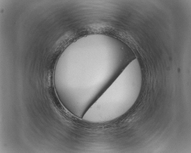 X0000068840694200605050944