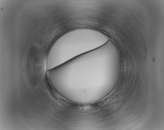 X0000068840695200605050944