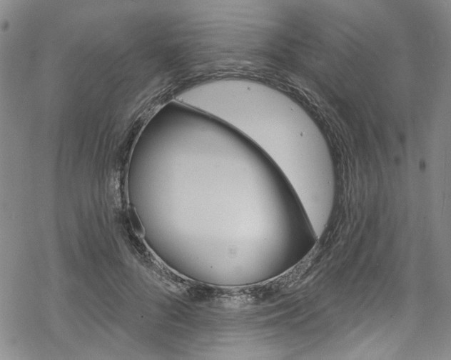 X0000068840696200605050944