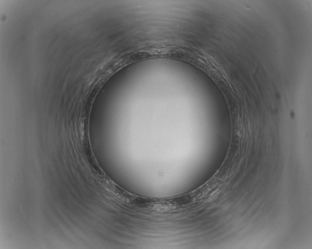 X0000068840697200605050944