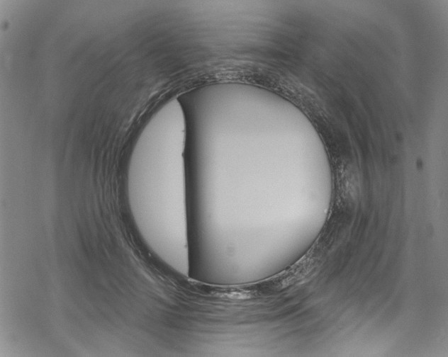 X0000068840698200605050944