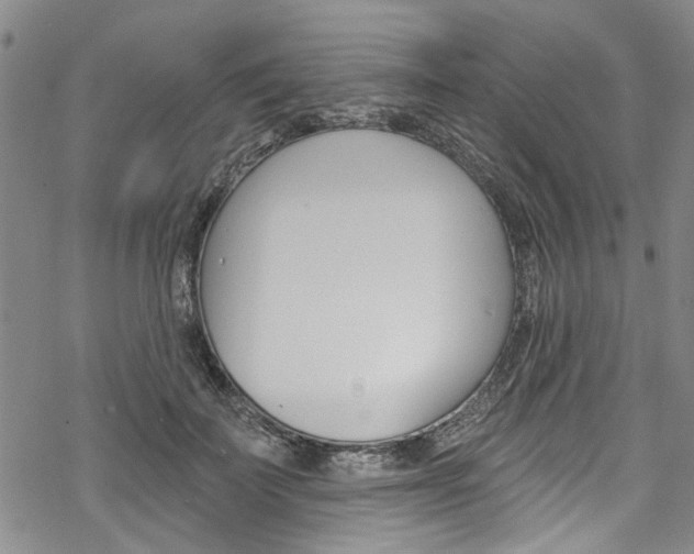 X0000068840699200605050944