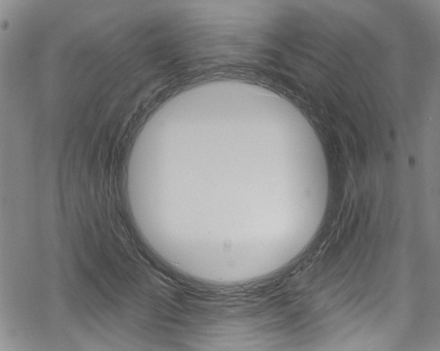 X0000068840701200605050944