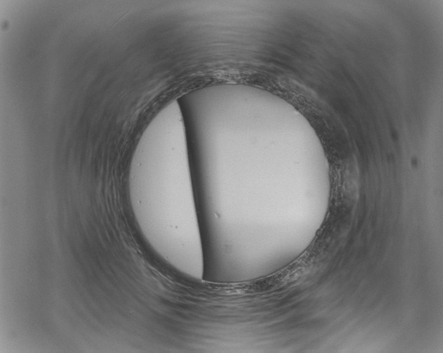 X0000068840702200605050944