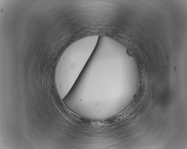 X0000068840703200605050944