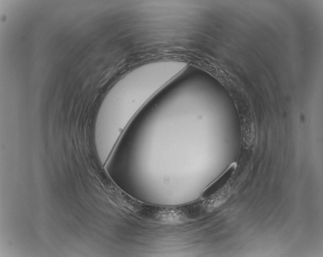 X0000068840704200605050944