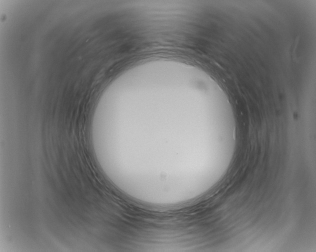 X0000068840705200605050944