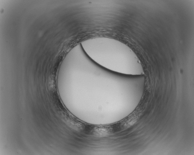 X0000068840706200605050944