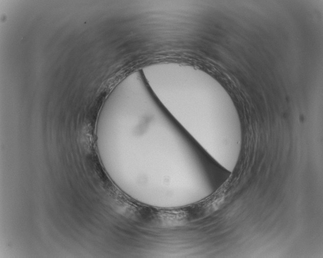 X0000068840707200605050944