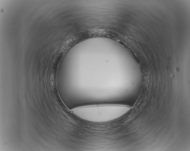 X0000068840708200605050944