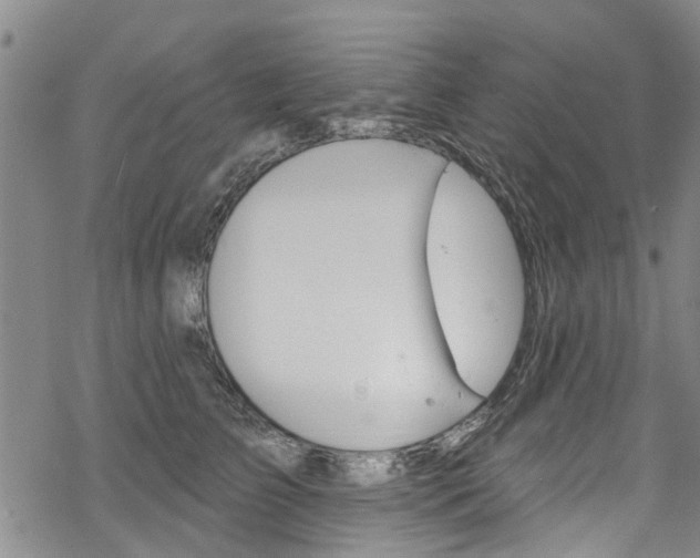 X0000068840709200605050943