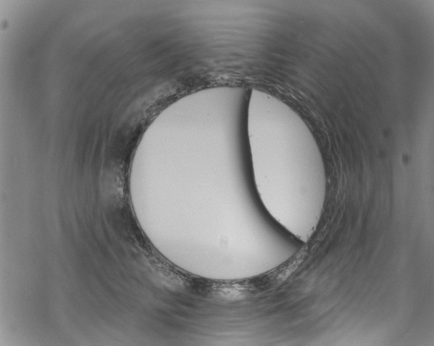 X0000068840710200605050943