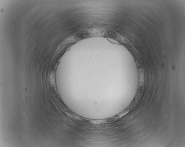 X0000068840713200605050943