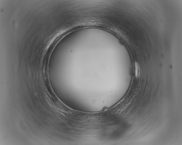 X0000068840723200605050943