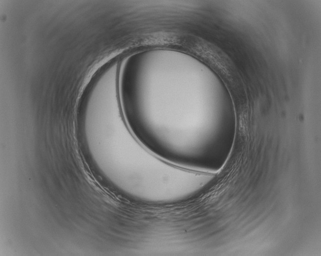 X0000068840724200605050943