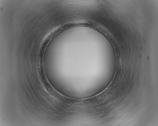 X0000068840732200605050943