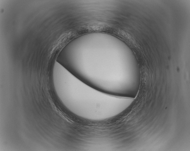X0000068840738200605050943