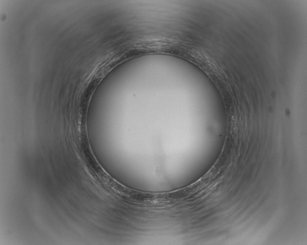 X0000068840739200605050943