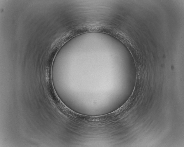 X0000068840740200605050943