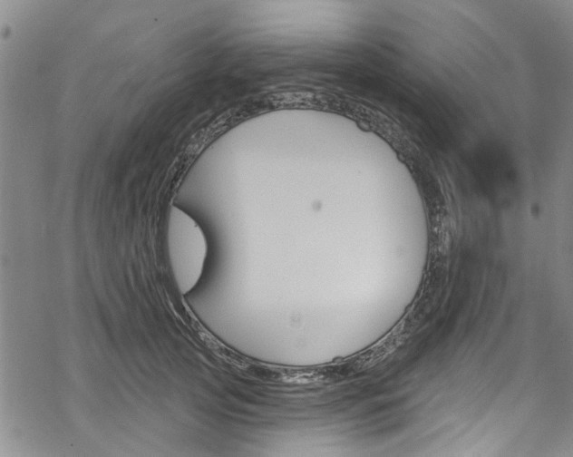 X0000068840753200605050943