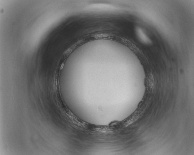 X0000068840763200605050943