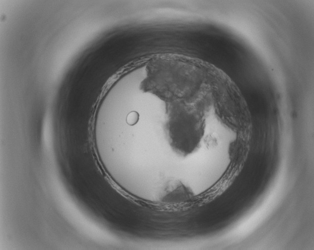 X0000068840765200605050943