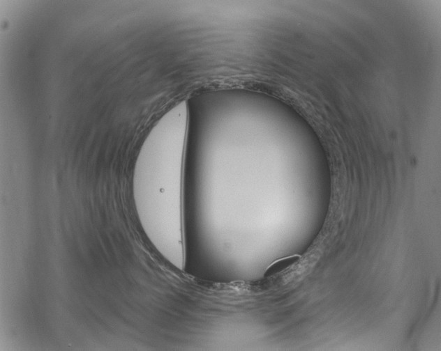 X0000068840768200605050943