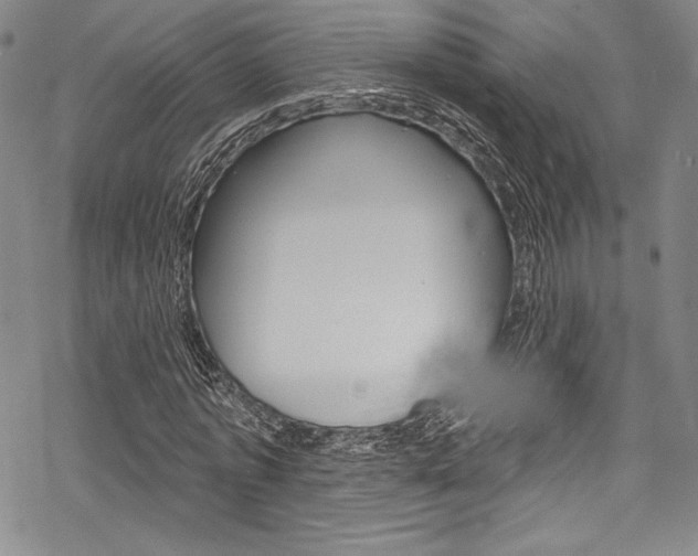 X0000068840773200605050942