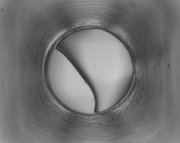 X0000068840780200605050942