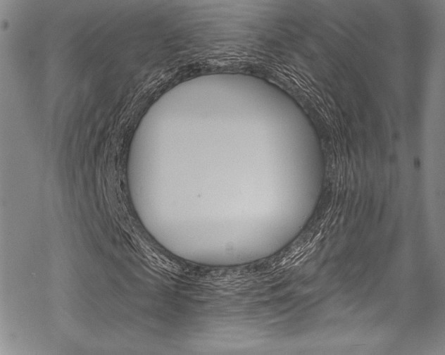 X0000068840817200605050941