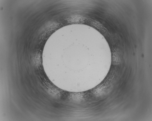 X0000068840820200605050941