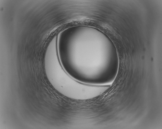 X0000068840822200605050941