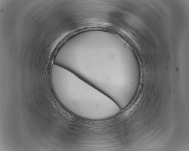 X0000068840875200605050941