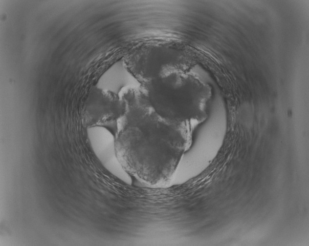 X0000068840917200605050939