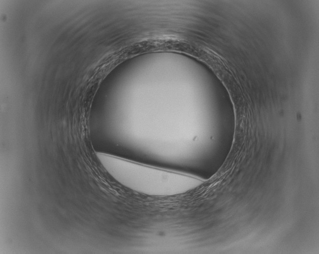 X0000068841014200605050938