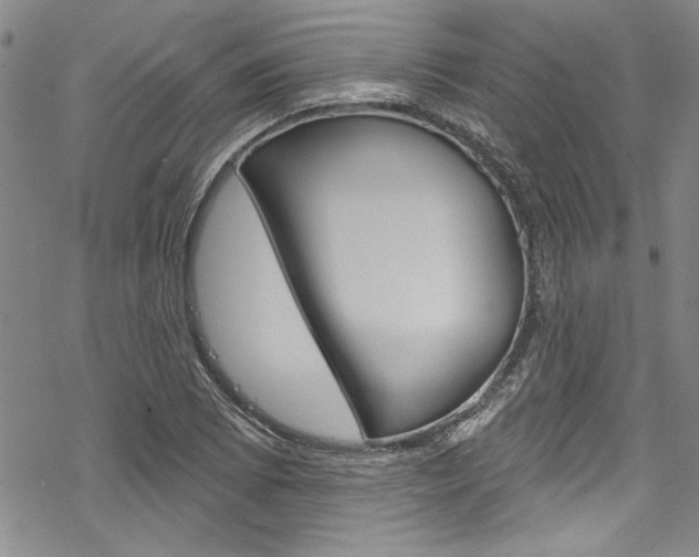 X0000068841073200605050938