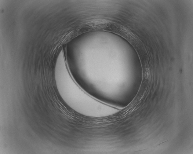 X0000068841108200605050936