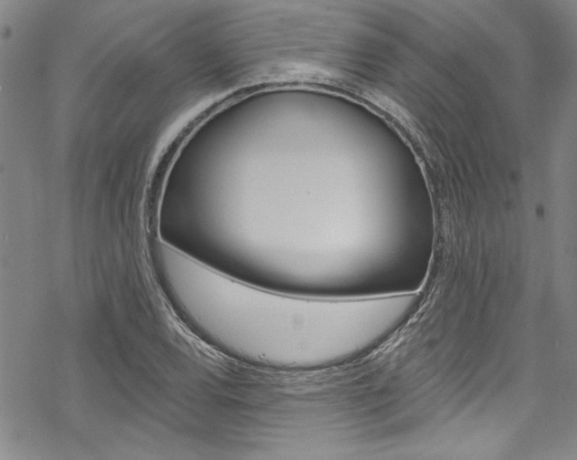 X0000068841120200605050937