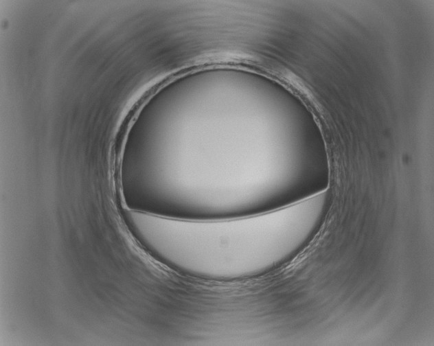 X0000068841124200605050937